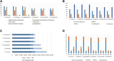 Comparative chloroplast genomics provides insights into the genealogical relationships of endangered Tetraena mongolica and the chloroplast genome evolution of related Zygophyllaceae species